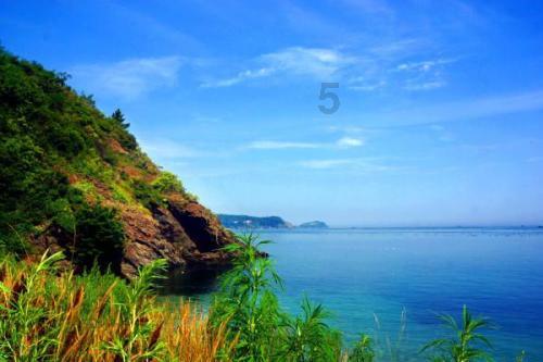 女子称被邻居诬陷毒狗,遭对方全家堵门辱骂恐吓:小心它找你索命