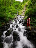 牛油果面包